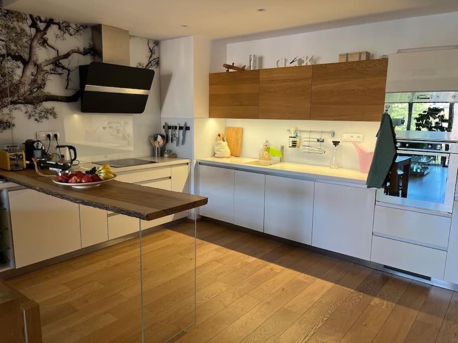 Apartment In Historical Center With Park View Plzeň Extérieur photo