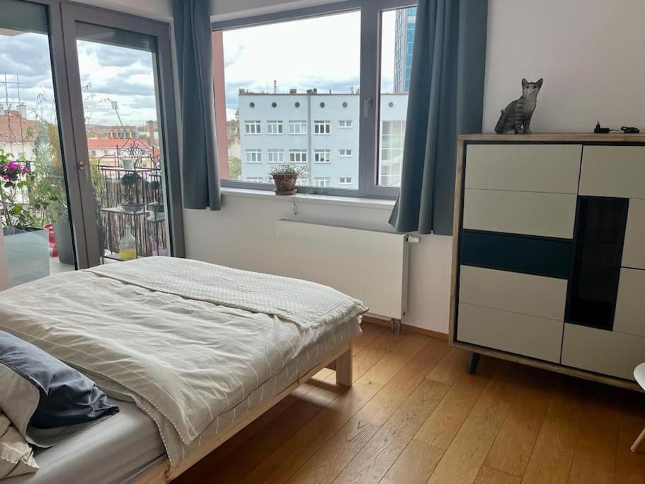 Apartment In Historical Center With Park View Plzeň Extérieur photo