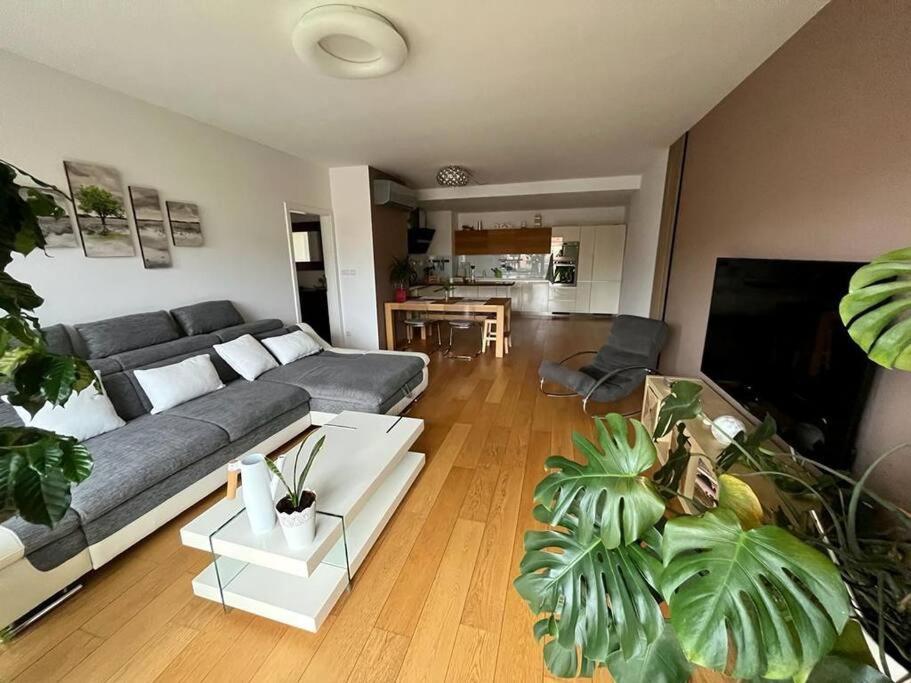 Apartment In Historical Center With Park View Plzeň Extérieur photo