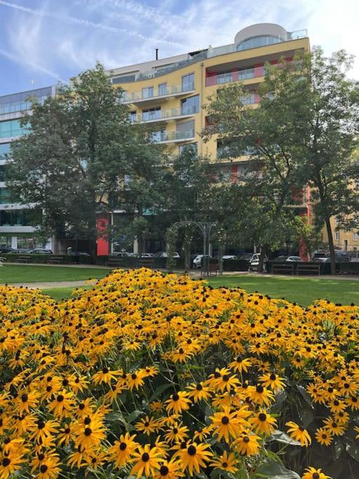 Apartment In Historical Center With Park View Plzeň Extérieur photo